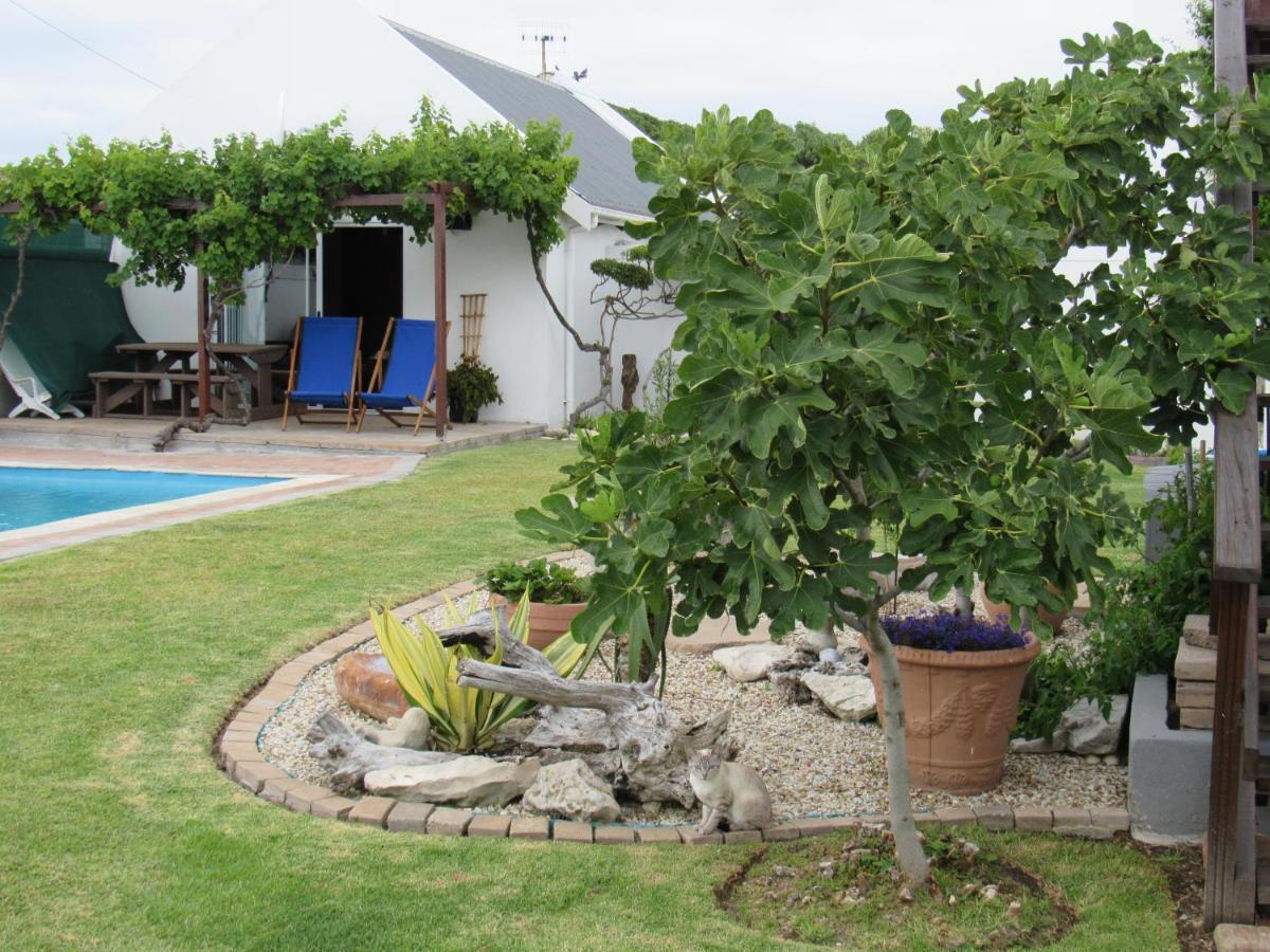 Omega Suite Gansbaai Zewnętrze zdjęcie